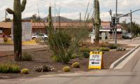 A "Vote Here/Aqui" sign on the side of the road with a cactus in the background