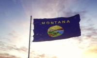 State flag of Montana