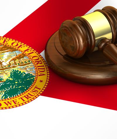 The state flag of Florida with a gavel on top