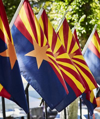 A row of Arizona state flags
