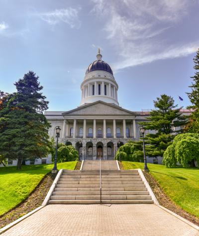 Steps leading up to a large domed building surrounded by trees