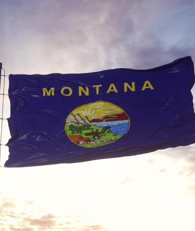 State flag of Montana