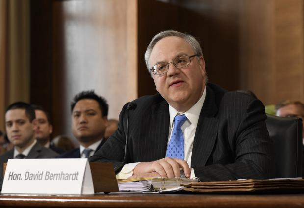 U.S. Acting Secretary of the Interior David Bernhardt