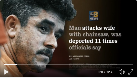 Cruz immigration ad_image 2